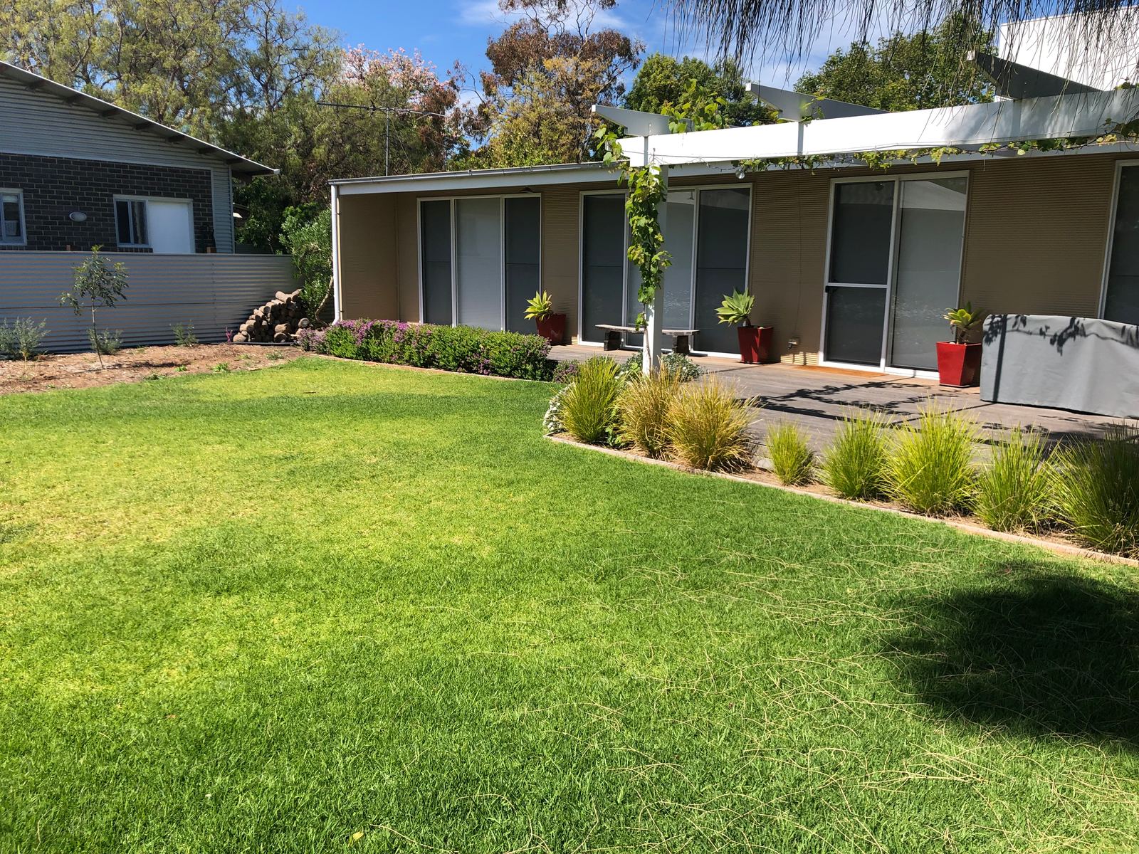 Established lawn and garden beds at an Adelaide home