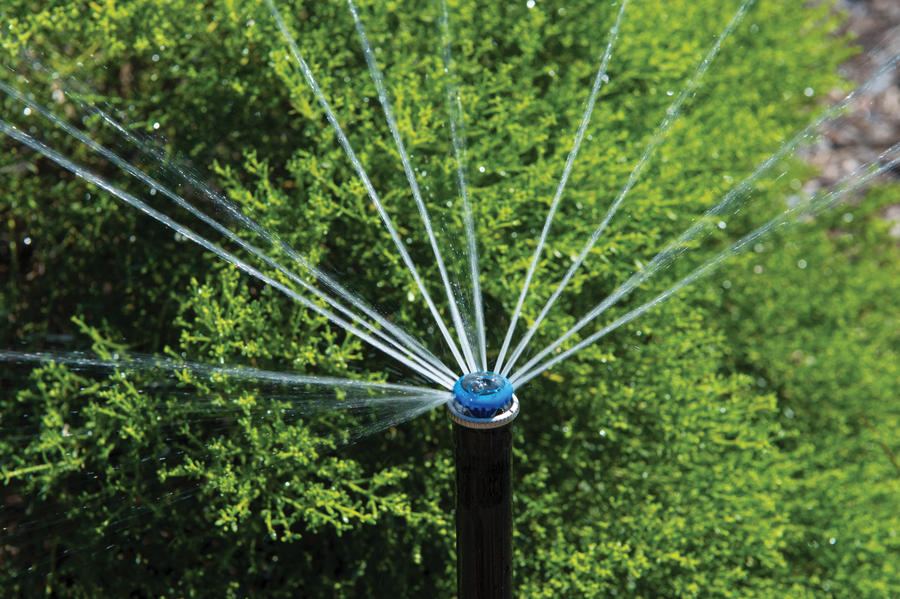 Close up of a sprinkler nozzle fanning water over a green hedge